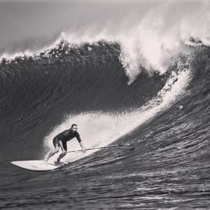 Meet your Posher, Connor